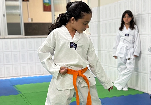 atividades-extracurriculares-diferenciadas-lipani-03